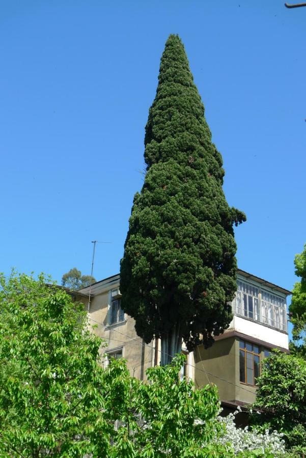 סוקהום Old Town Guesthouse מראה חיצוני תמונה